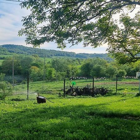 Вила "Намасте" С Панорамна Гледка И Камина На Дърва Lowetsch Exterior foto