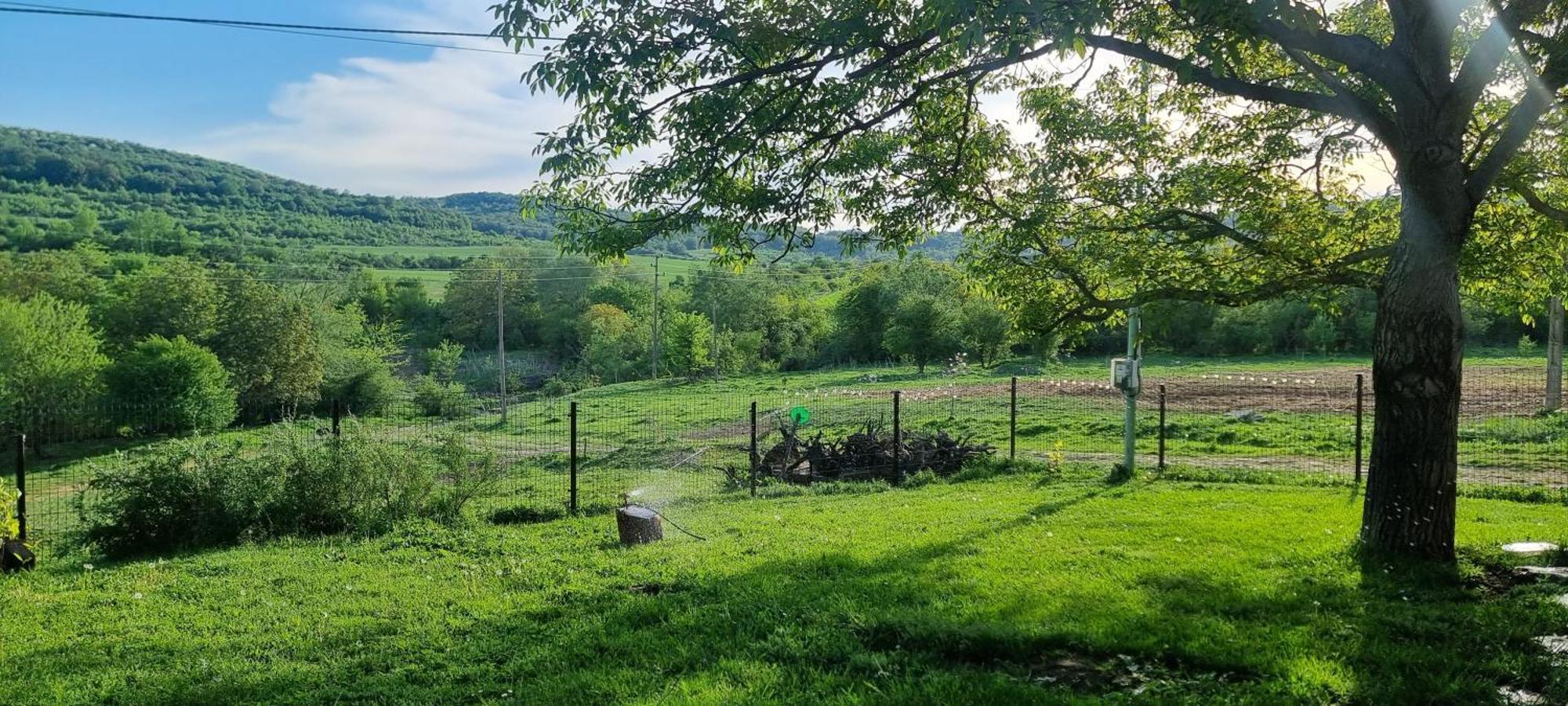 Вила "Намасте" С Панорамна Гледка И Камина На Дърва Lowetsch Exterior foto